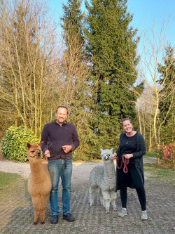 Alpaca's met de eigenaren op Erfgoed de Boemerang in Meppen, Drenthe
