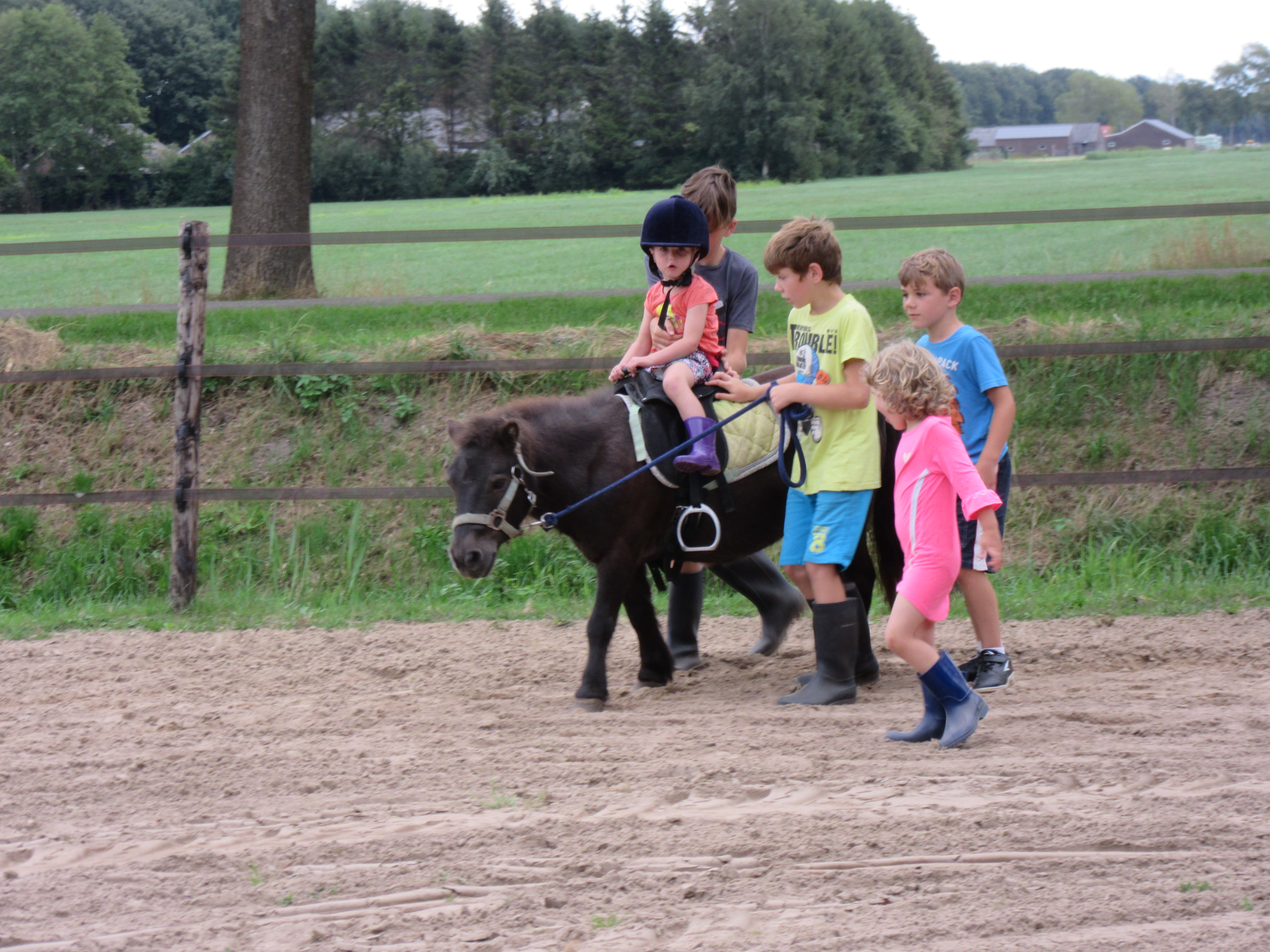 Minicamping Hendriks Wijkje foto 4
